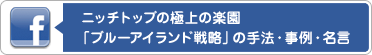 �u���[�A�C�����h�헪